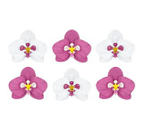 Dekorační papírové květy - orchidej - 6 ks