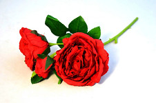 Růže rozvitá 2 květy a poupě - červená - 34 cm