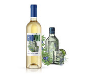 Dárkové ovocné víno 0,75l - Ginovíno