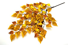 Březová větev 60 cm - žluto-hnědá