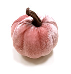 Dýně sametová růžová  - 6 cm - 1 ks