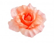 Hlavičky růží - sv. lososové - 10 cm