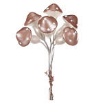 Muchomůrky 3 cm zápich 6 ks - champagne
