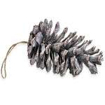 Šiška borovice závěs 13 cm - bílá patina