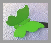 Motýlek - jmenovka, dekorace - zelený