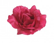 Hlavičky růží - malinové - 10 cm