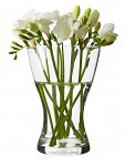 Váza 20 cm - čiré sklo