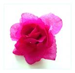 Hlavičky růží 8 cm - malinové