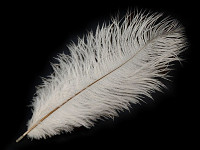 Pštrosí péro 20 cm - bílé