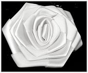 Saténový květ růže - bílý