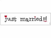 Svatební SPZ papírová - Just married se srdíčky