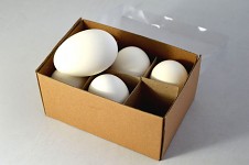 Pravé husí vejce bílé  - 1 ks