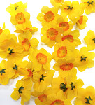 Květ narcisu 4 cm - žlutý - 30 ks