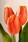 Tulipán umělý 43 cm - oranžový