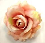 Hlavičky růží - meruňkové - 10 cm