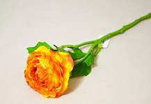 Ranunculus (pryskyřník) 31 cm - oranžový