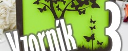 svatební oznámení - vzorník 3